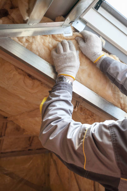 Best Insulation Maintenance and Repair in La Cygne, KS