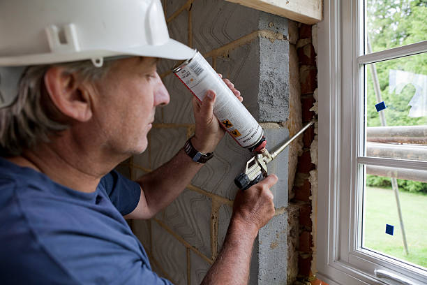 Best Insulation Installation Services in La Cygne, KS