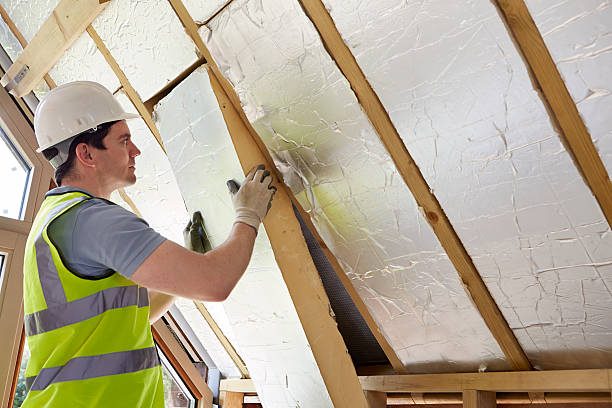 Best Specialty Insulation in La Cygne, KS